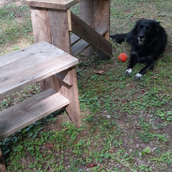 Meet your Posher, LdyTrkr_007 - Picture 4 of 4